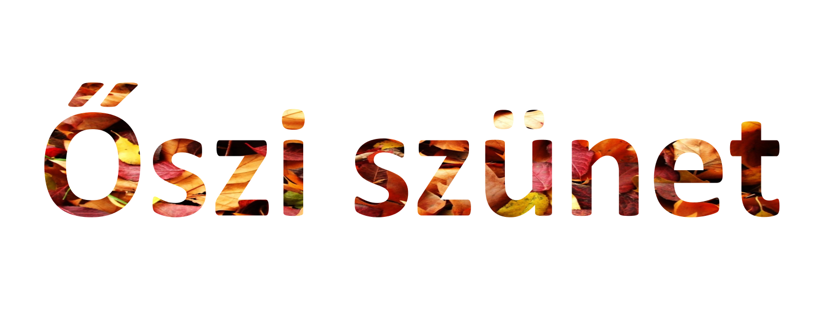 Poszter kép